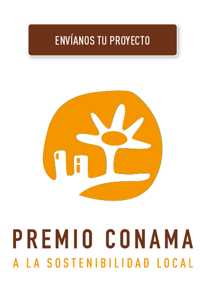 Premio Conama